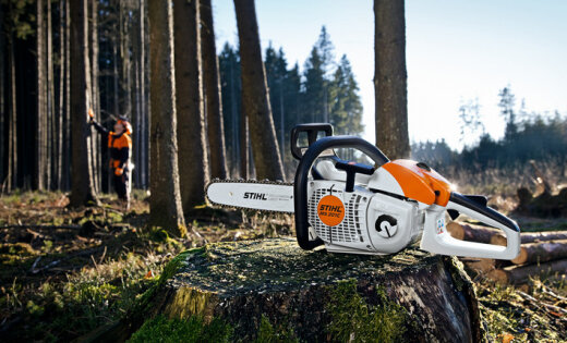 Image  for STIHL®
