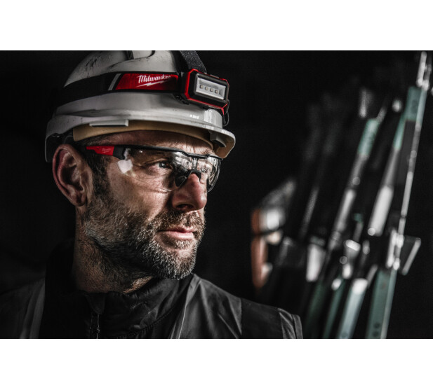 MW471881 K 1 v2 kuva