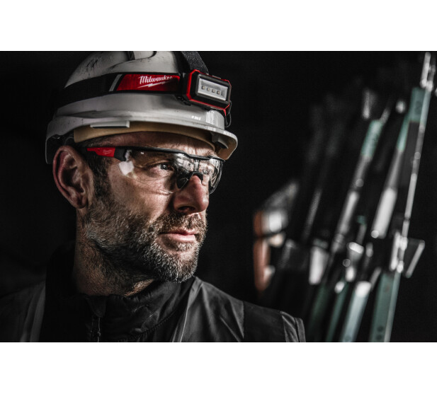 MW478763 K 1 v2 kuva