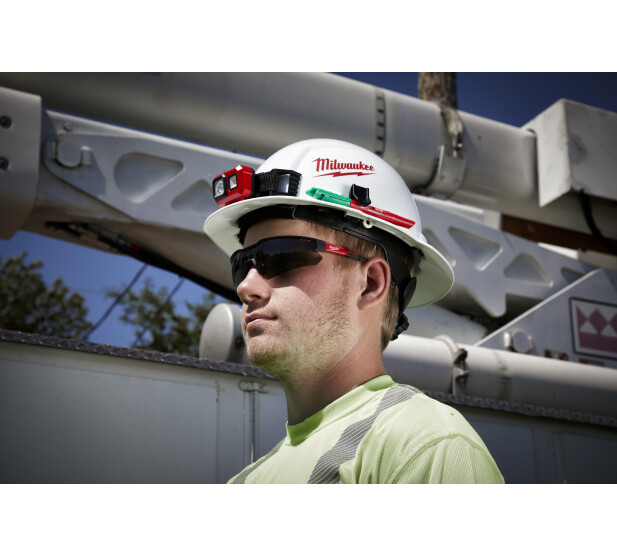 MW478764 K 1 v2 kuva