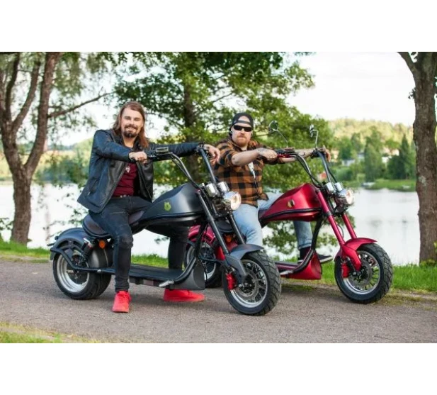 Punainen Kontio Kruiser Heritage Kruiser Heritage Red 1 2kWh akulla VTKMH02A12 IKH Saarenpaa Kuva 3 kuva