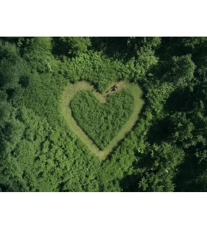 MSA  220.0 Tc-O AKkusaha - 30 cm kuva