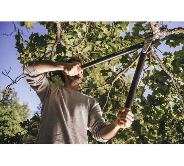 FS1000583 K 2 v2 kuva