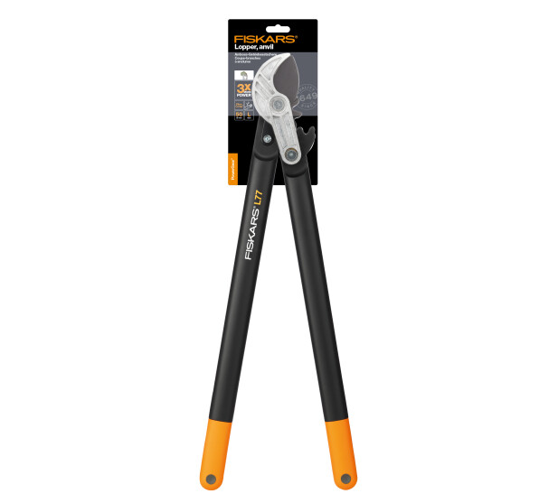 FS1000583 P 1 v2 kuva