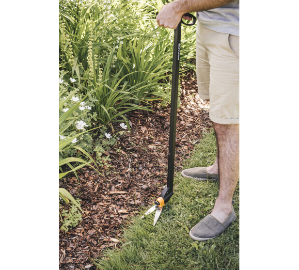 FS1000590 K 1 v2 kuva