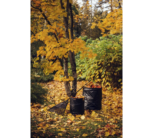 FS1015646 K 1 v2 kuva