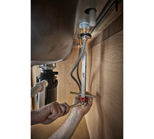 MW227001 K 1 v2 kuva