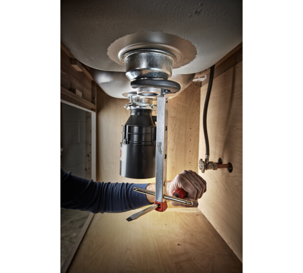 MW227002 K 1 v2 kuva