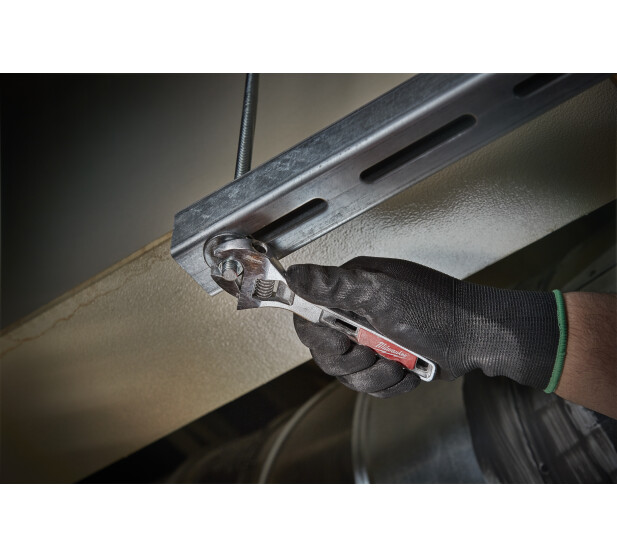 MW227406 K 1 v2 kuva