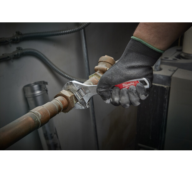 MW227508 K 1 v2 kuva