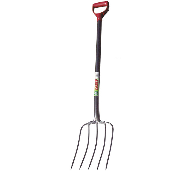 TT1206 S 1 kuva