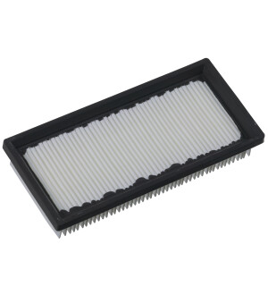 PÖLYNIMURIN FILTER AS300EMAC P1 kuva