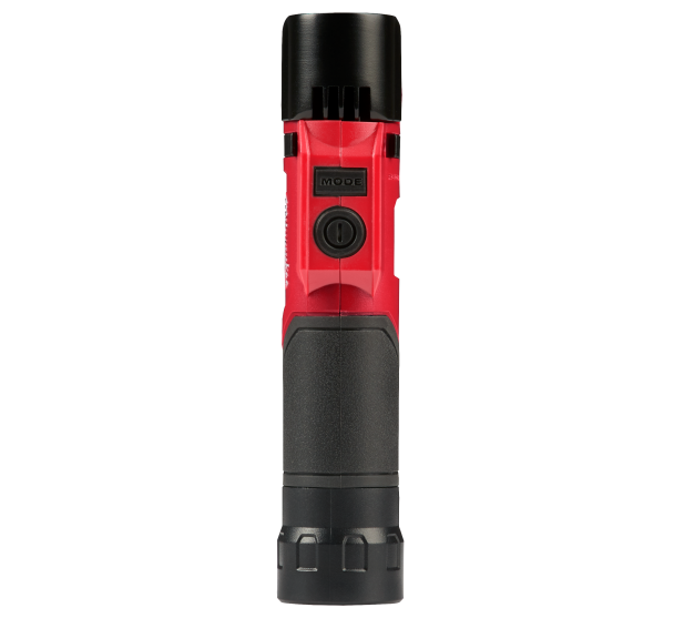 MW464822 S 1 kuva