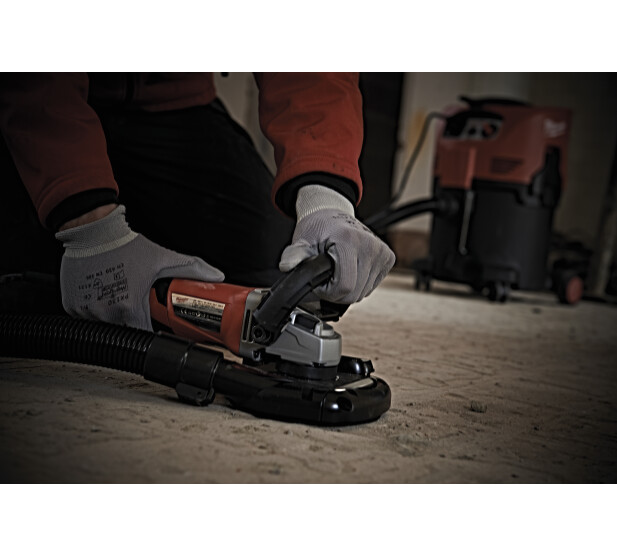 MW448035 K 1 v2 kuva