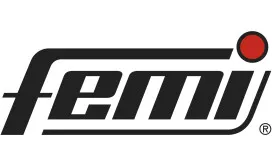 Femi Femi